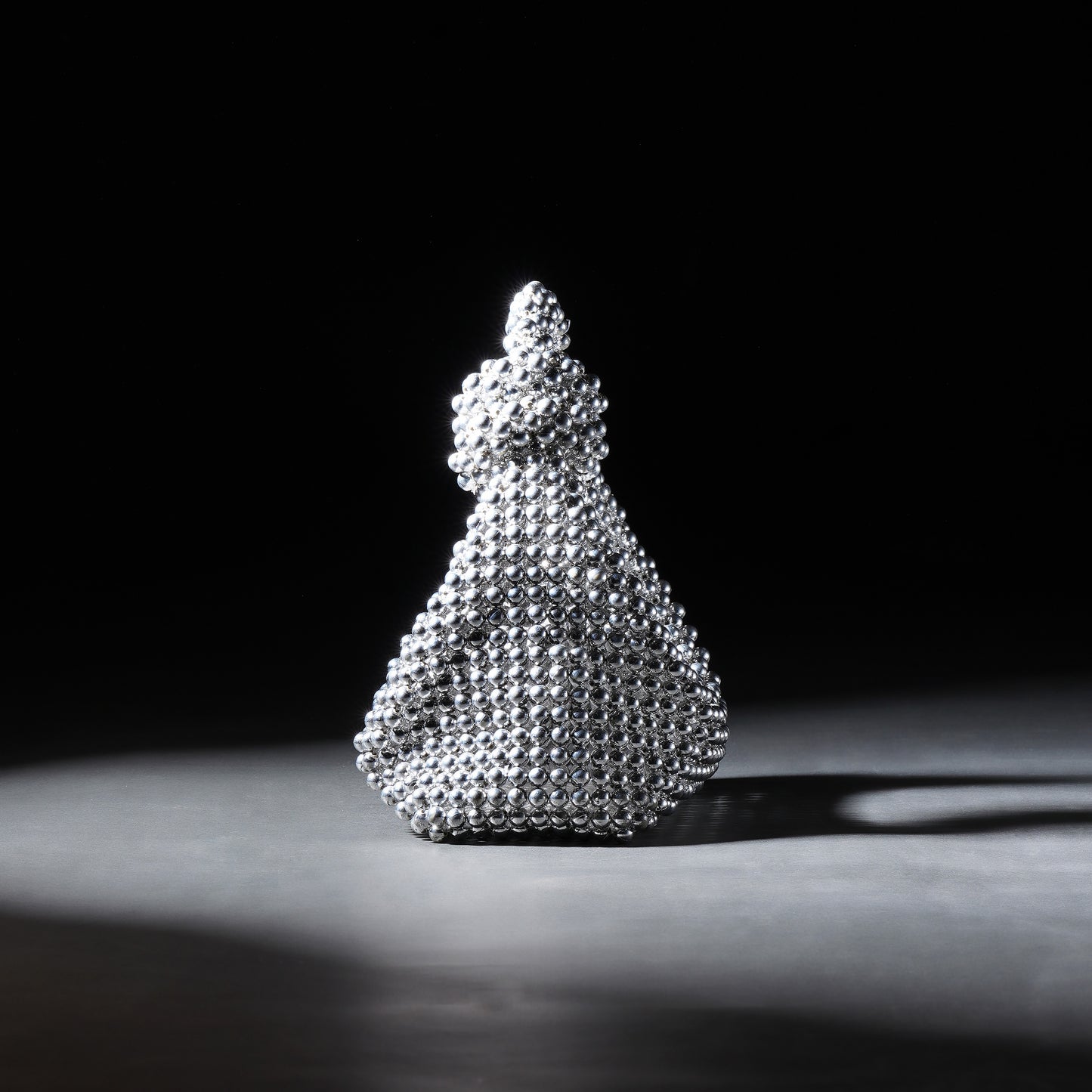 Silver Chrome pearl bag